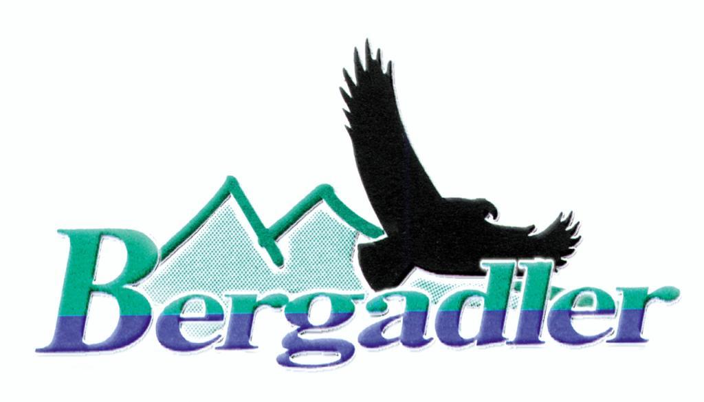 Bergadler Apartment Iselsberg-Stronach Phòng bức ảnh
